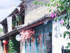 -喵屿·大理花园猫咖