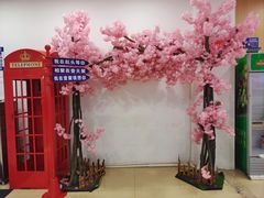 -壹天聚乐部(航头店)