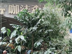 -咖法森林·咖啡  酒吧(天河店)