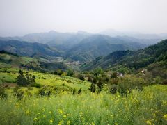 -石潭村