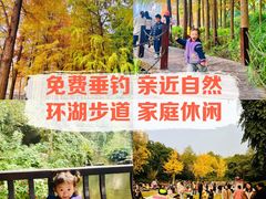 -重庆彩云湖湿地公园