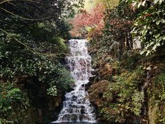 -十八棵（老龙井）御茶园(老龙井店)