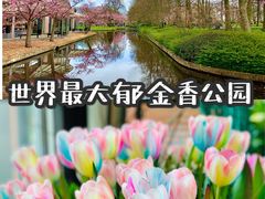 -库肯霍夫公园