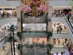 -眷茶(赛格国际购物中心店)