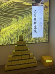 -头道汤头疗养生馆