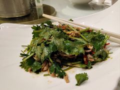 -品泉餐厅·大盆鱼·走地鸡