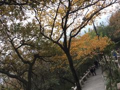 -灵岩山风景区