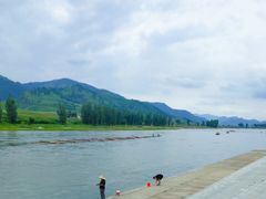 -江心岛