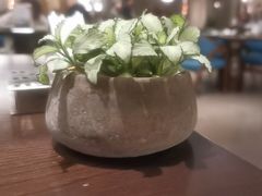 -佘山世茂艾美·御珍轩中餐厅