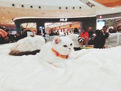 -万达广场(巴南店)