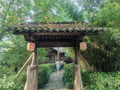 -西溪国家湿地公园