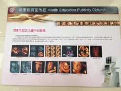 -成都市妇女儿童中心医院(中心院区)