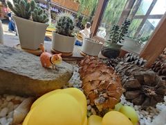 -饵块食光·云南有机手作饵块