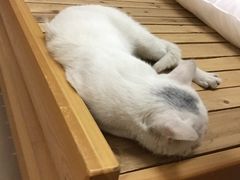 -浙江理工大学（下沙校区）游泳馆