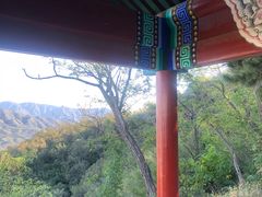 -北京鹫峰国家森林公园