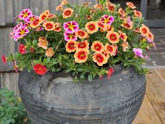 -瓦库茶馆17号(海汇港店)