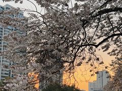 -红星桥(地铁站)