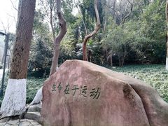 -赭山公园