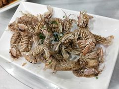 -金海湾海鲜排档(朱家尖店)