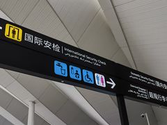 -乌鲁木齐天山国际机场-T3航站楼