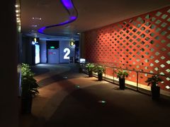 -万达影城(汉街万达广场IMAX店)