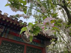 -元大都城垣遗址公园