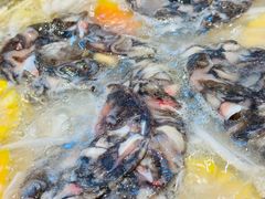 -椰小鸡·琼州糟粕醋·火锅(美兰缤纷城店)