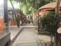 -二荆条·蜀鲜汇城市森林火锅