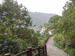 -羚羊峡古栈道森林公园