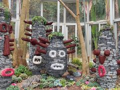 -深圳仙湖植物园