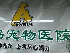 -半岛宠物医院24小时(白果林店)