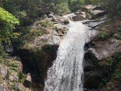 -九龙江国家森林公园