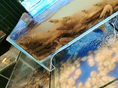 -尚宴牛特鲜自助(太原街万达店)