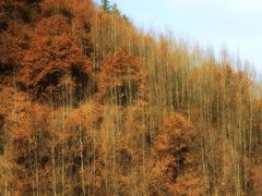 -冶力关旅游区