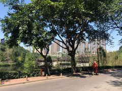 -重庆彩云湖湿地公园