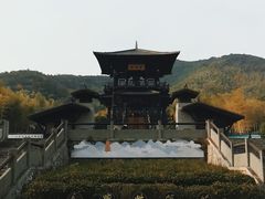 -大唐贡茶院