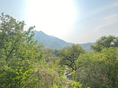 -南窖乡水峪村山情农家