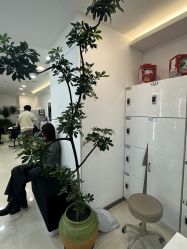 -HaLo hair studio