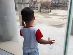 -太原动物园