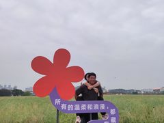 -光明小镇欢乐田园