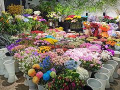 -双季花艺园艺市场(浦东店)