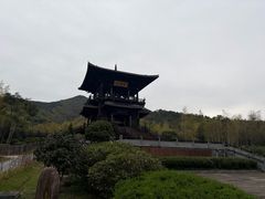 -大唐贡茶院