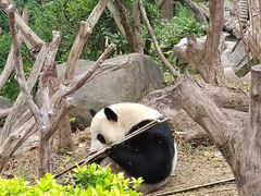 -南宁市动物园