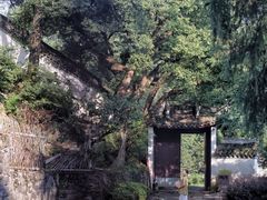 -宁波市保国寺古建筑博物馆