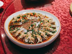 -上海新江南大酒店-中餐厅