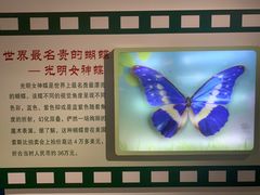 -上海昆虫博物馆