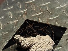 -大馆(前中区警署建築群)