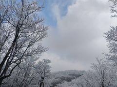 -安吉龙王山风景区