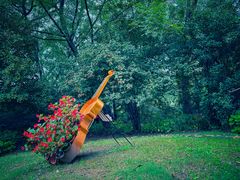 -上海共青森林公园