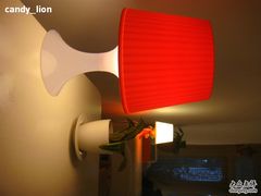 -Babycat私家御饼屋(龙头路一店)